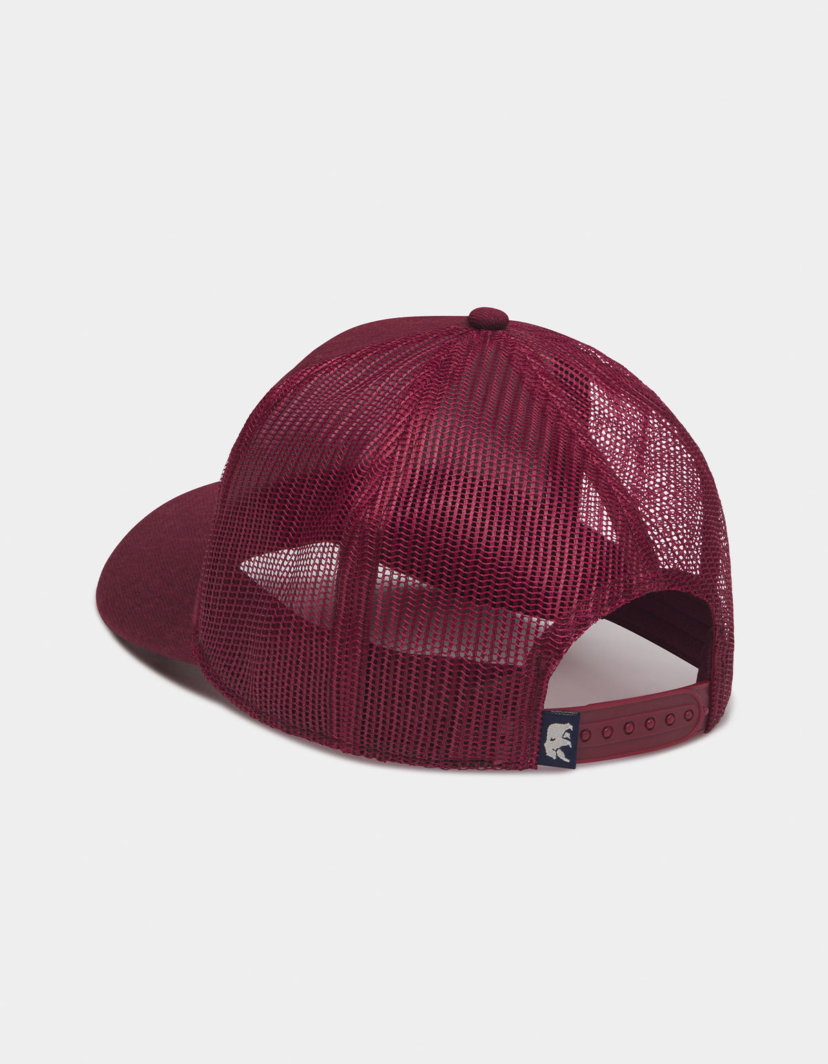 TNB Supply Co. 5-Panel Hat in Spiced Brandy