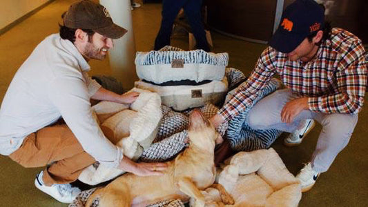 Our Visit to Stray Rescue