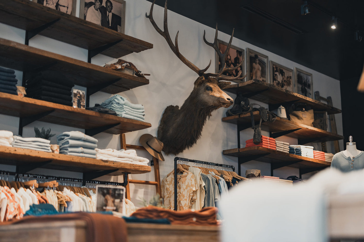 The Normal Brand Stores