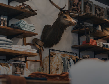 The Normal Brand Stores