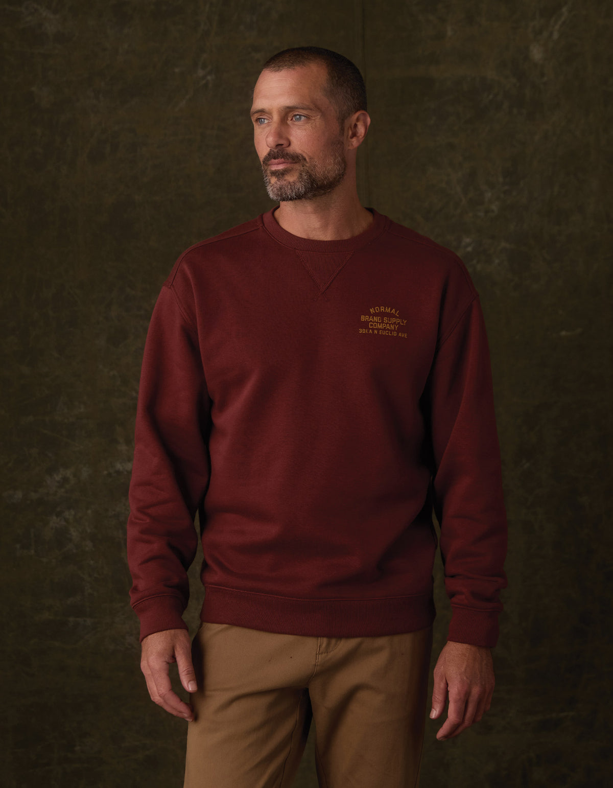Normal Fleece Graphic Pullover in Cocoa