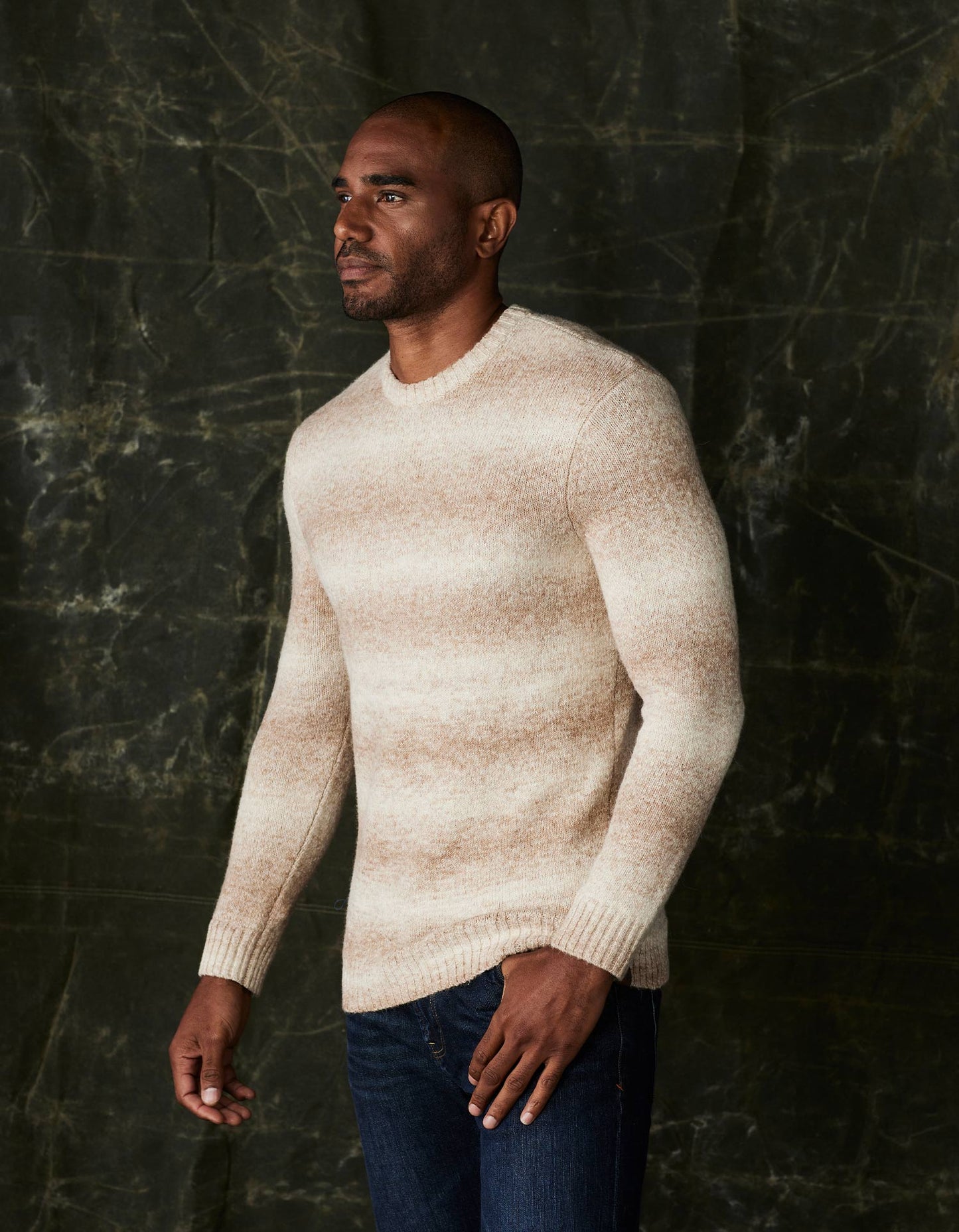 Ombre Crewneck Sweater in Tan