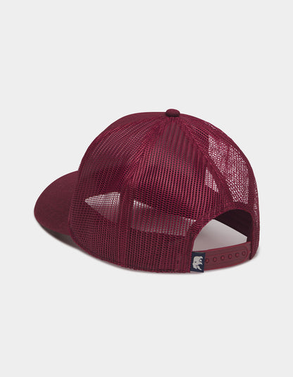 TNB Supply Co. 5-Panel Hat in Spiced Brandy