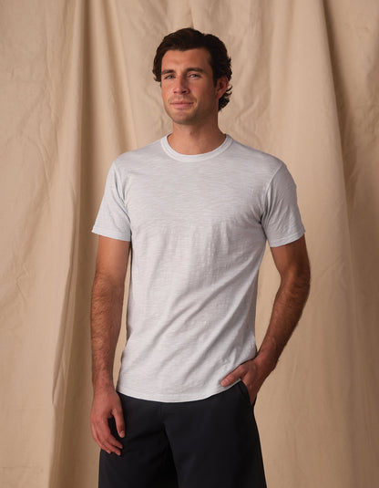 Vintage Slub Perfect Tee in Mist