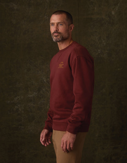 Normal Fleece Graphic Pullover in Cocoa