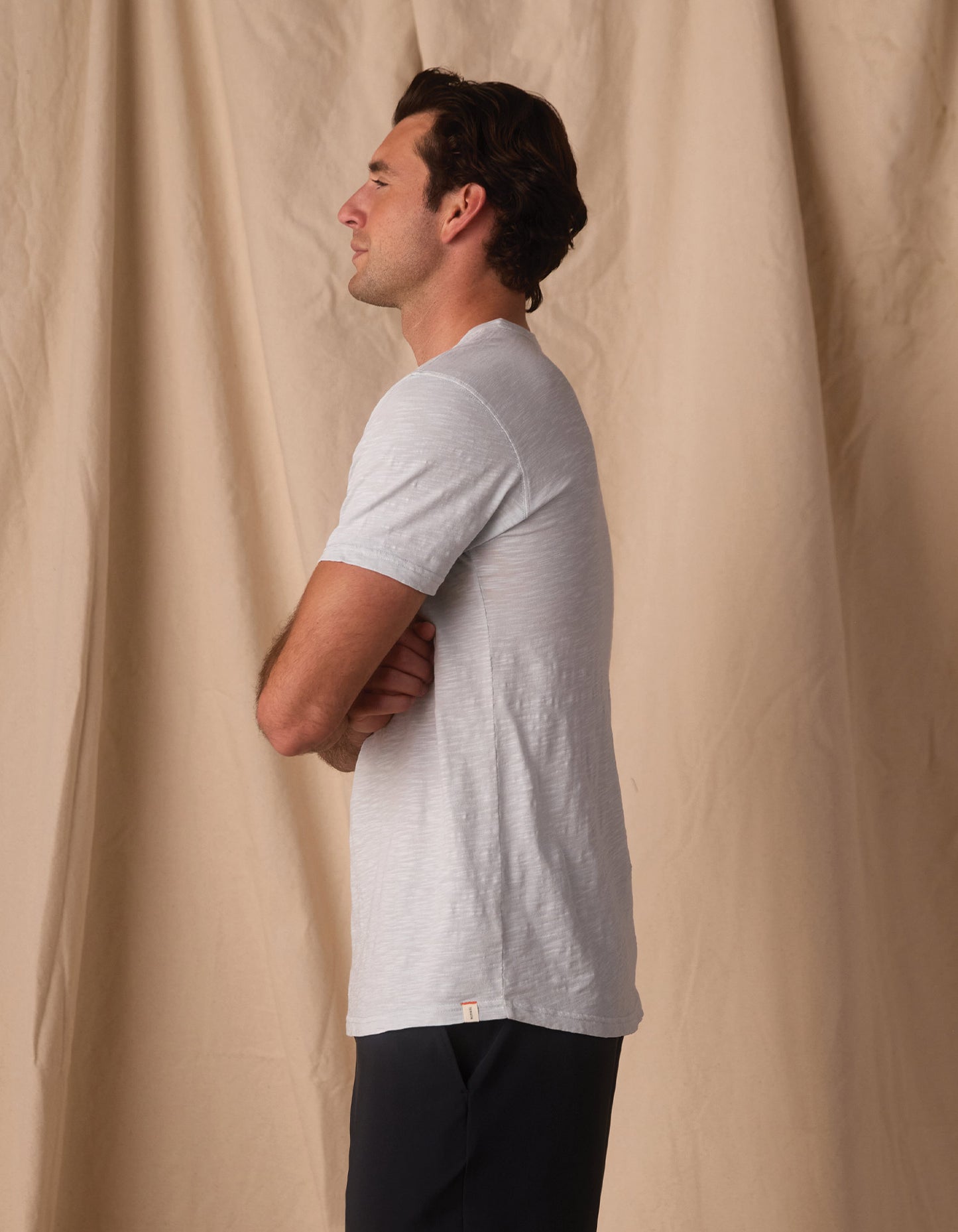 Vintage Slub Perfect Tee in Mist