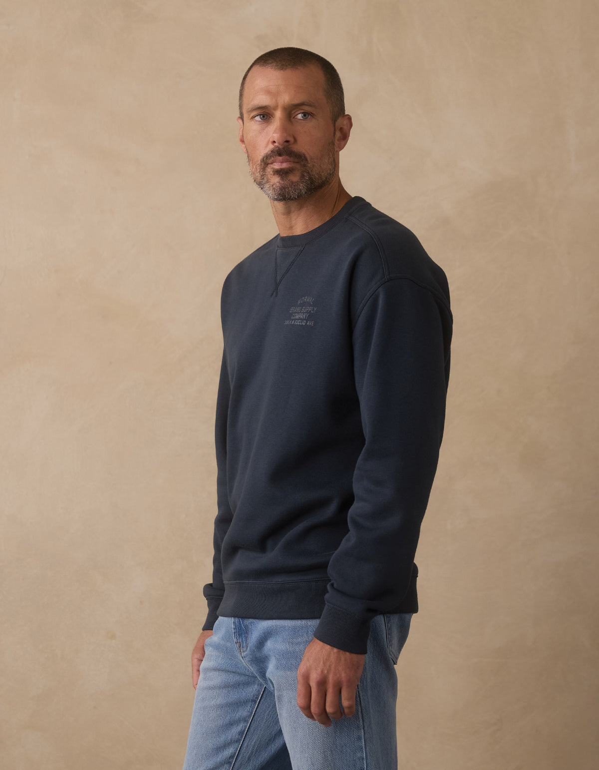 Normal Fleece Graphic Pullover in Shale Blue