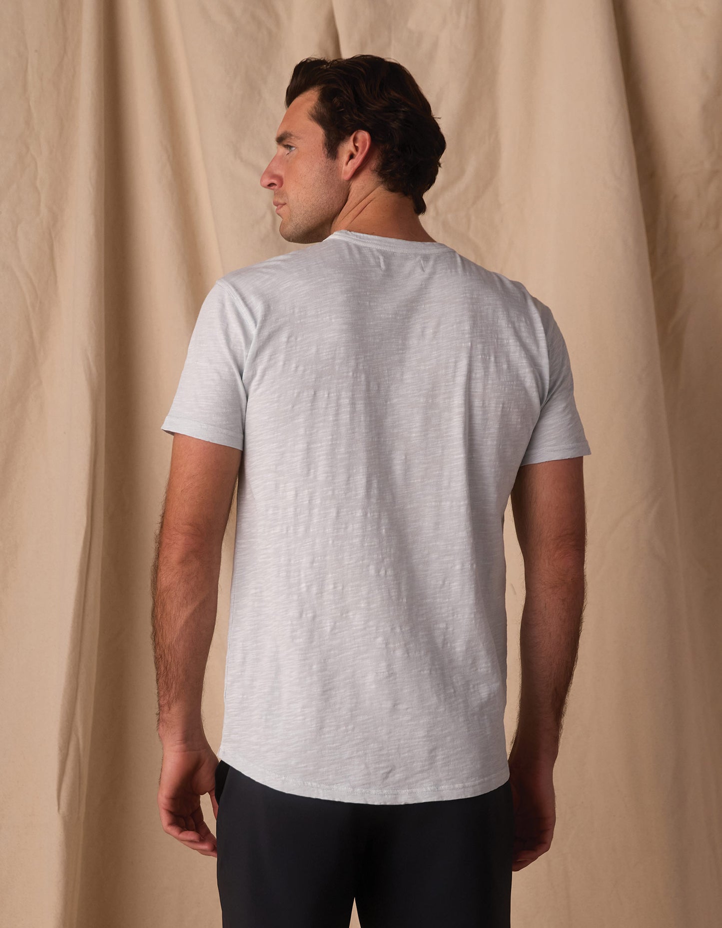 Vintage Slub Perfect Tee in Mist