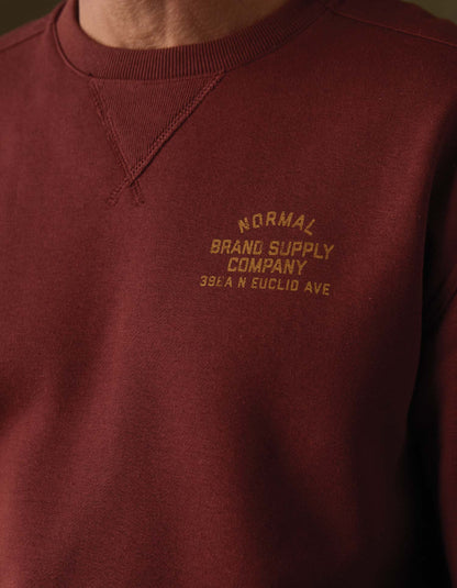 Normal Fleece Graphic Pullover in Cocoa