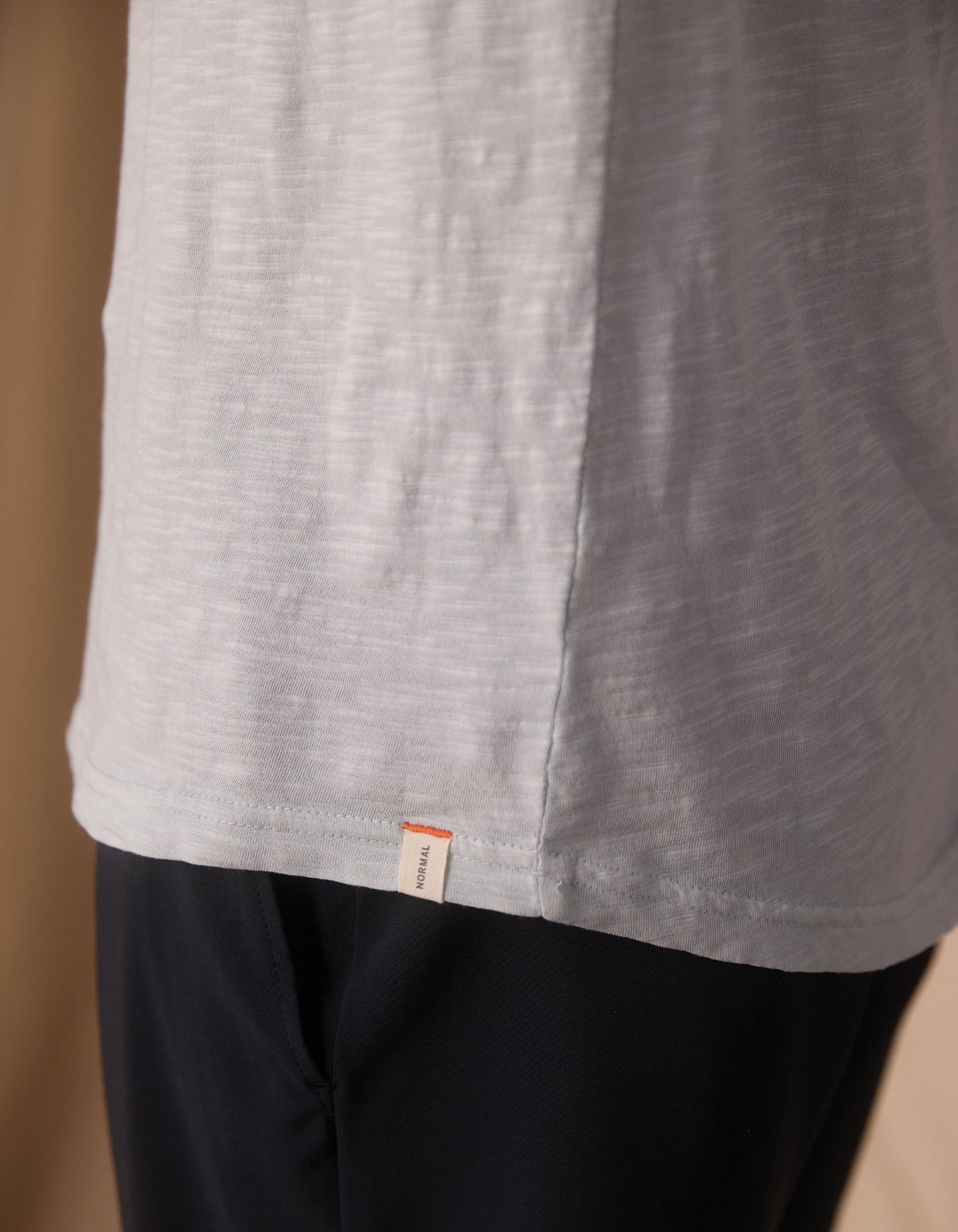 Vintage Slub Perfect Tee in Mist