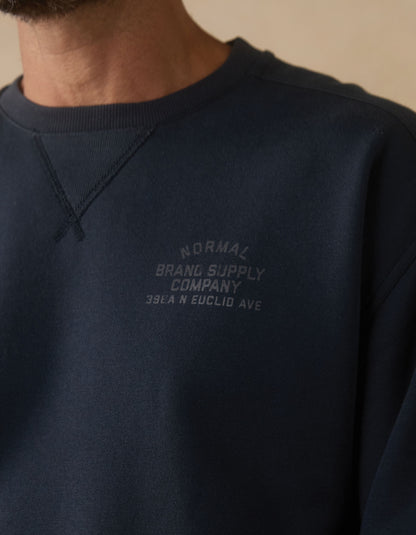 Normal Fleece Graphic Pullover in Shale Blue