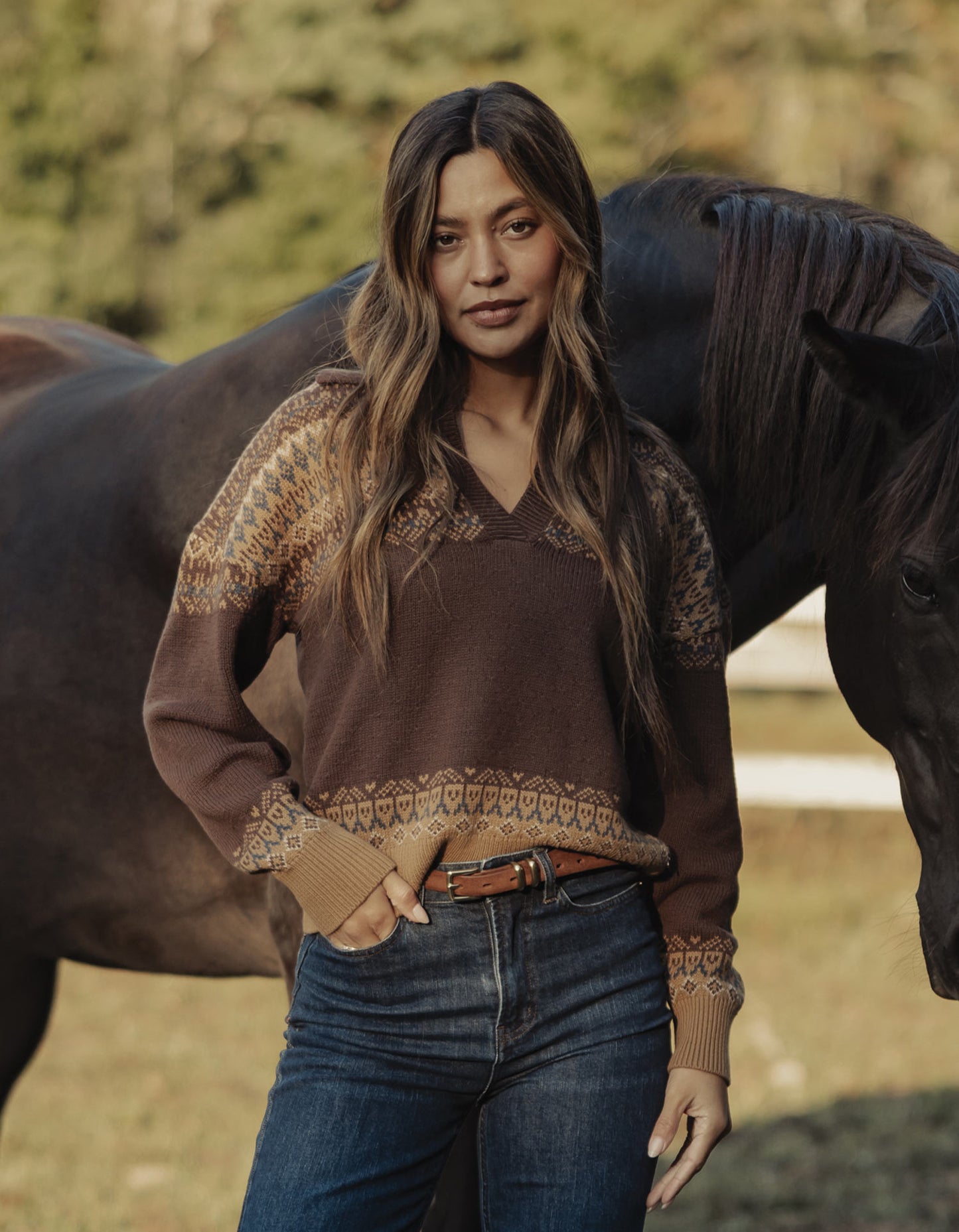 Fair Isle Polo Sweater in Brown Multi