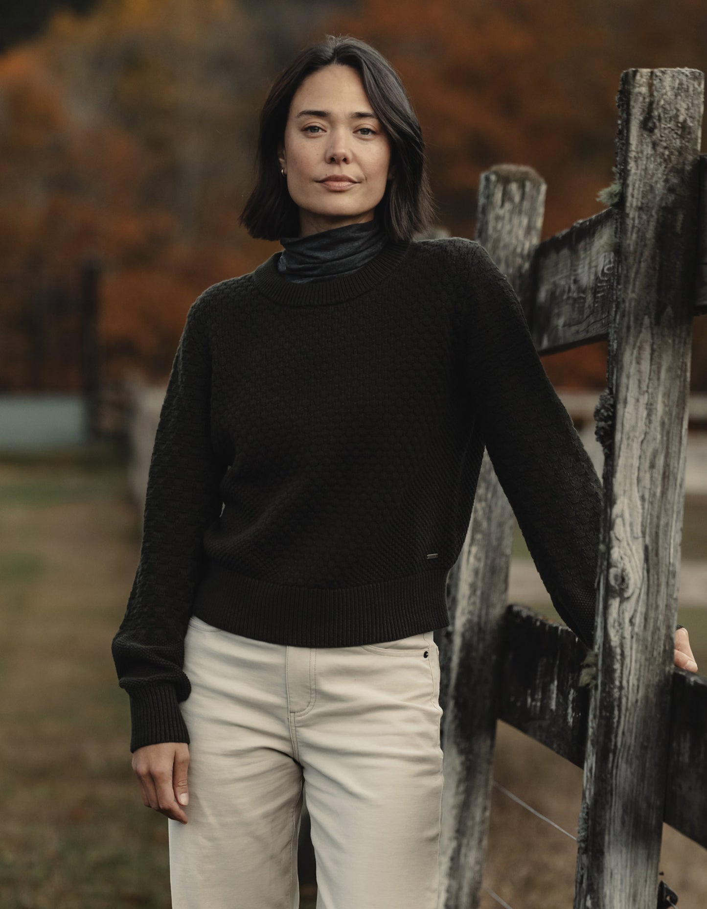 Colette Sweater in Alpine