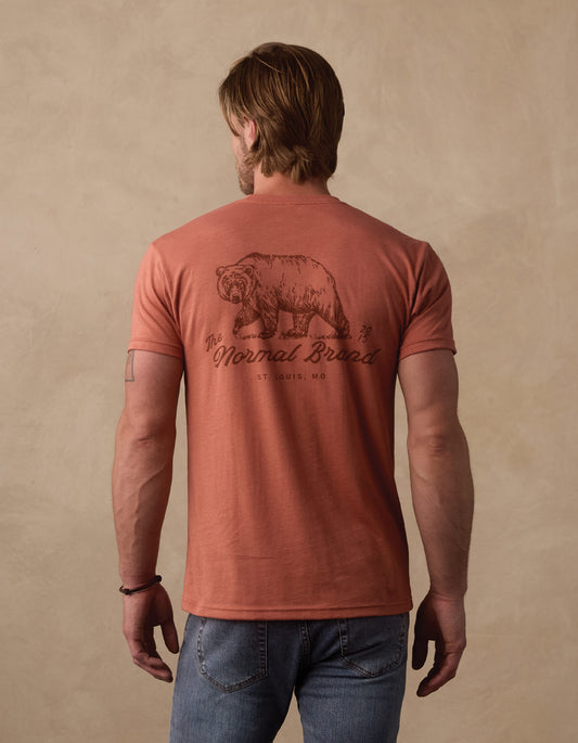 Illustrated Bear Tee in Redwood