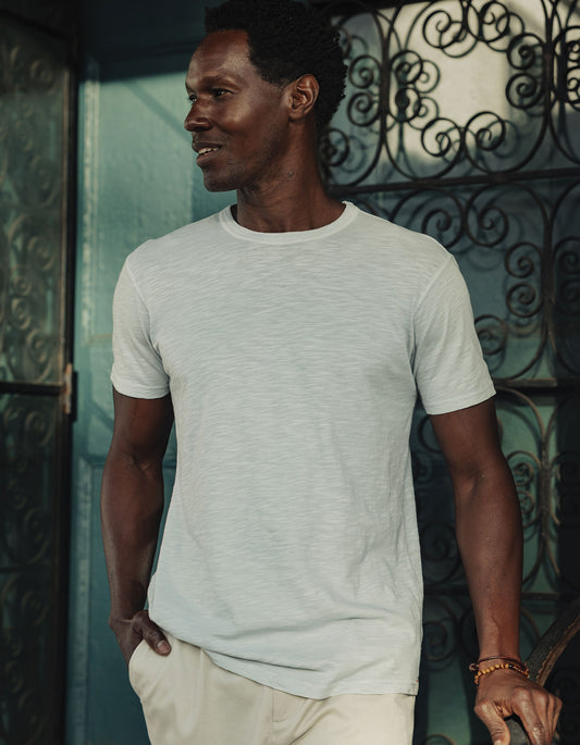 Vintage Slub Perfect Tee in Mist