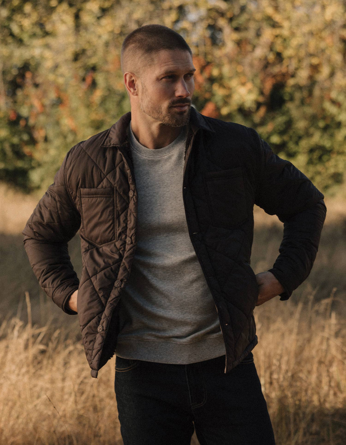 The Only Jacket in Chestnut