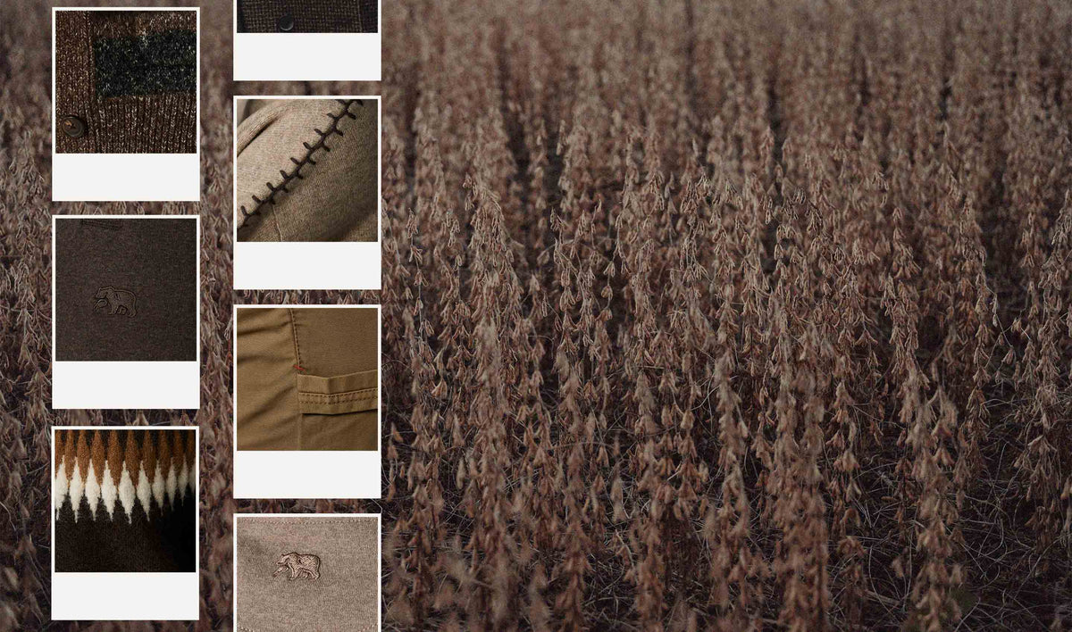 Trending Color: Brown – The Normal Brand